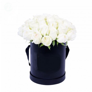 White Roses in Black Box