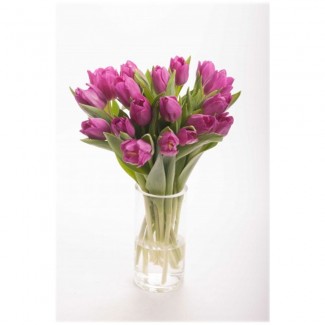 Purple Tulips in A Vase
