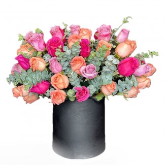 Mix pink and orange in black box