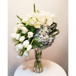 White tulips and hortencia in a Vase