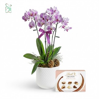 double orchid combined with lindt