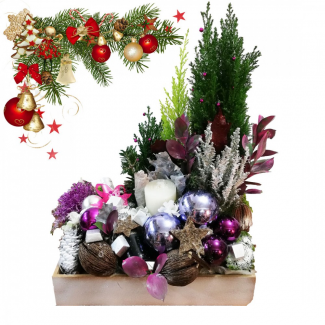 Special Plant Decorated Christmas Arrangement
