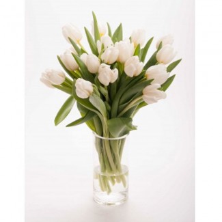 White Tulips in A Vase